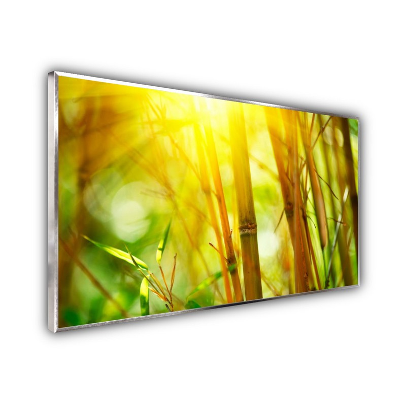 Infrarotheizung Glas Bildheizung